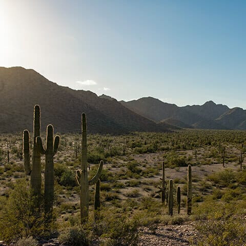 Beautiful desert terrain in Phoenix's West Valley features 37,000 acres - three times the size of Manhattan.